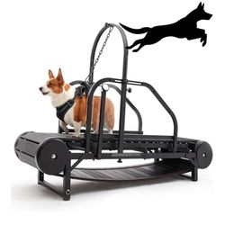Dog Treadmill 