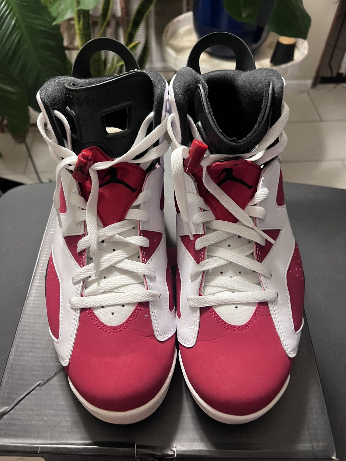 Jordan Retro 6 Carmine