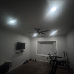 Electrical Lights, Fans 