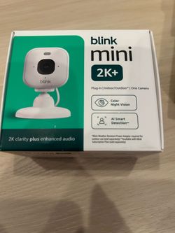 Blink mini camera