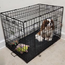 Dog Cage/Jaula 