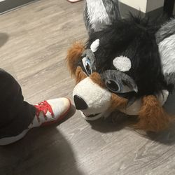Husky Fursuit