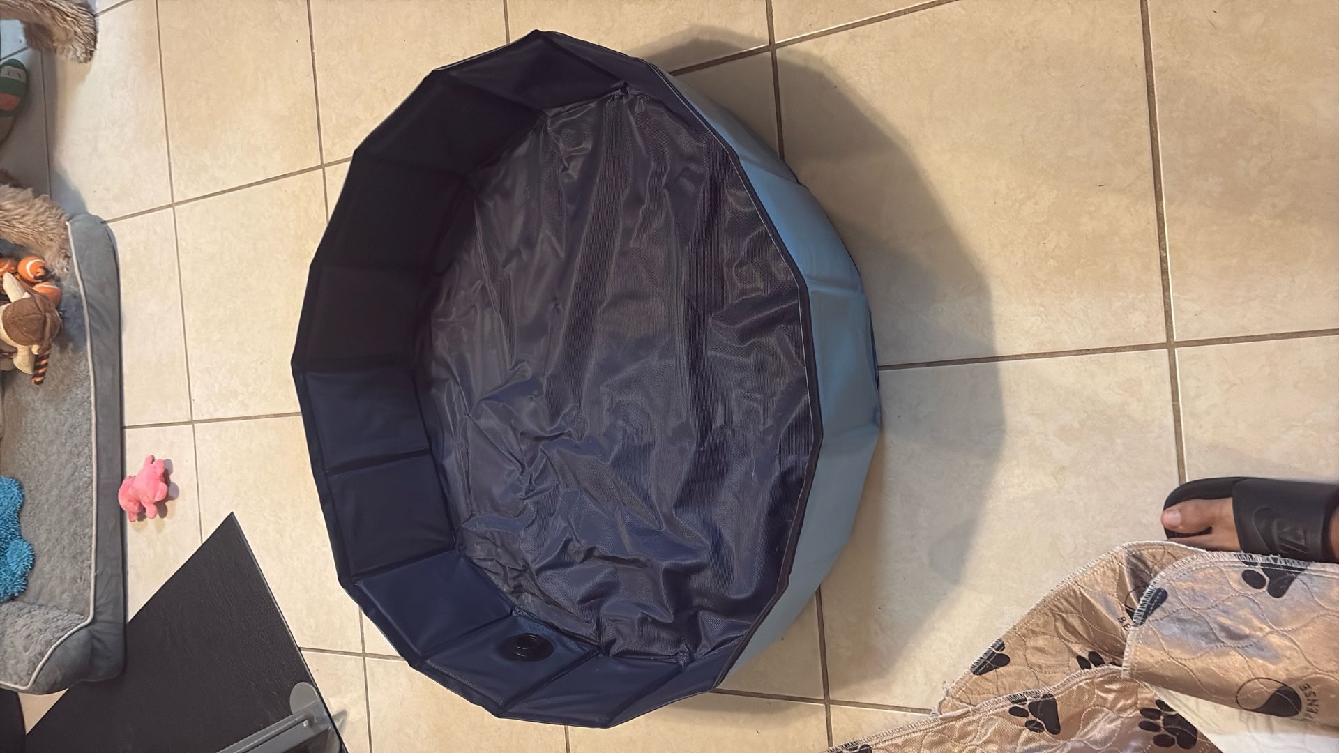 Dog Washable Pads With A Dog Pool.