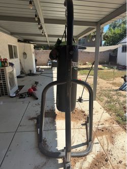 Everlalast punching bag