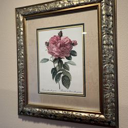 Rose Prints Pierre-Joseph Redouté 