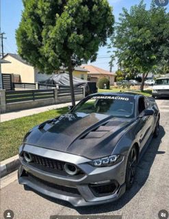 Mustang GT Carbon Fiber Terminator Hood 2018+