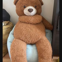 Giant Teddy 