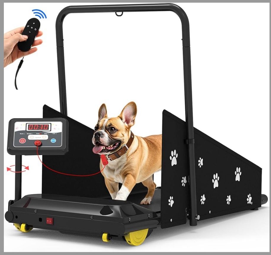 Dog Treadmill