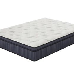 Ultra Plush 12” Hydrid 