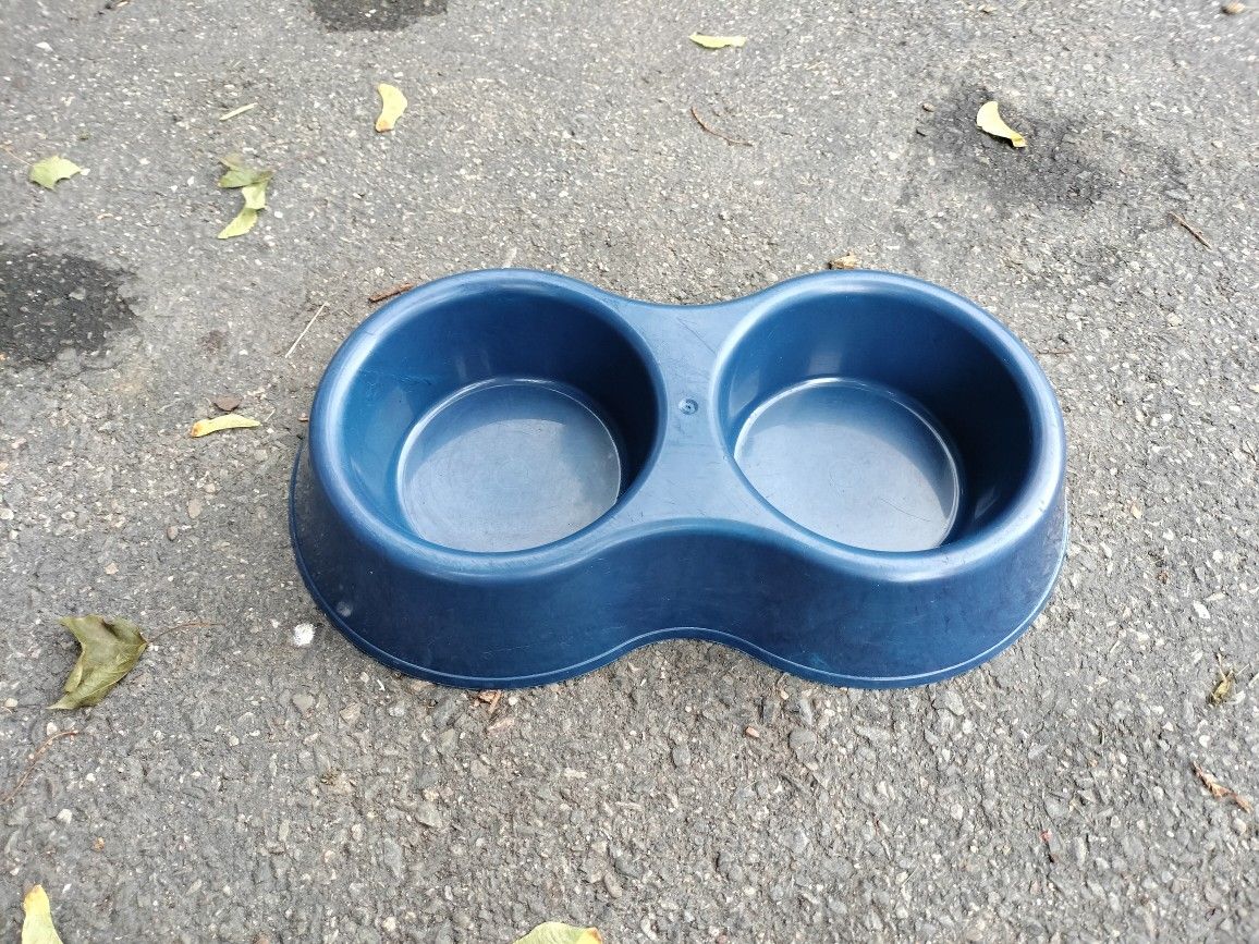 Cat Or Dog Dish