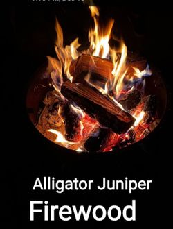 🔥🪵Firewood Alligator Juniper 
