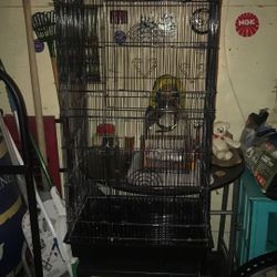 Large Bird Cage