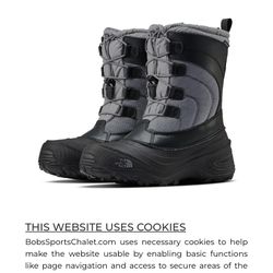 The North Face Boots Size 12c
