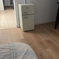 Mini Fridge 