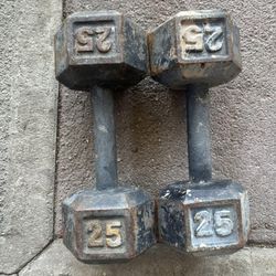 25lb Dumbbell Pair 