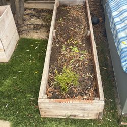 Planter Box - 2x8 Feet