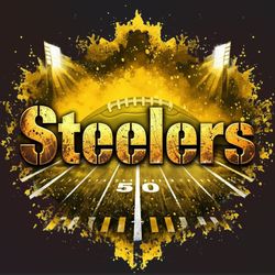 Steelers T Shirts Sweatshirt And Hoodies 