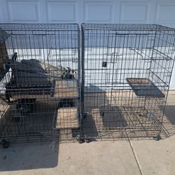 Two Big Cages One For $25 Or Both For $40
