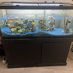 Fish tank 75gal