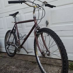 Swim mid eighties Sierra mountain bike