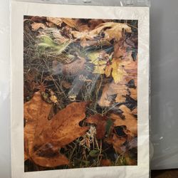 Shannon Keegan Fairy Art Print Enchanting the Story Fall Leaves Mushroom 8.5” x 11”   Whimsical art print by Shannon Keegan. Features cute fairies amo