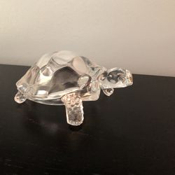 Crystal Turtle