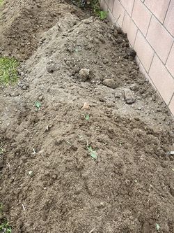 Free Dirt !