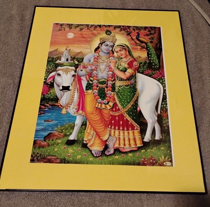 Beautiful Colorful Frame 16 inch x 20 inch GLASS NEW