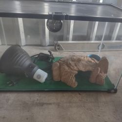 Triaium . Critter Home