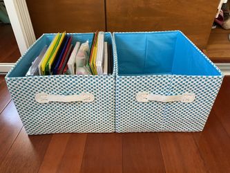Storage Baskets from the Container Store set of 2