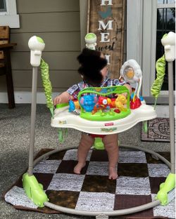 Baby Bouncer