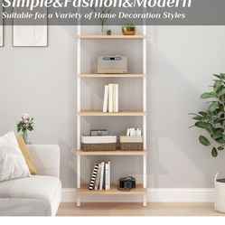 Shelves 