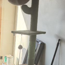 Cat Tower