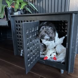 Black Mid Century Modern Wooden Dog Crate