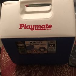 Playmate Igloo
