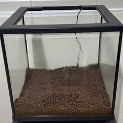 Fish Tank