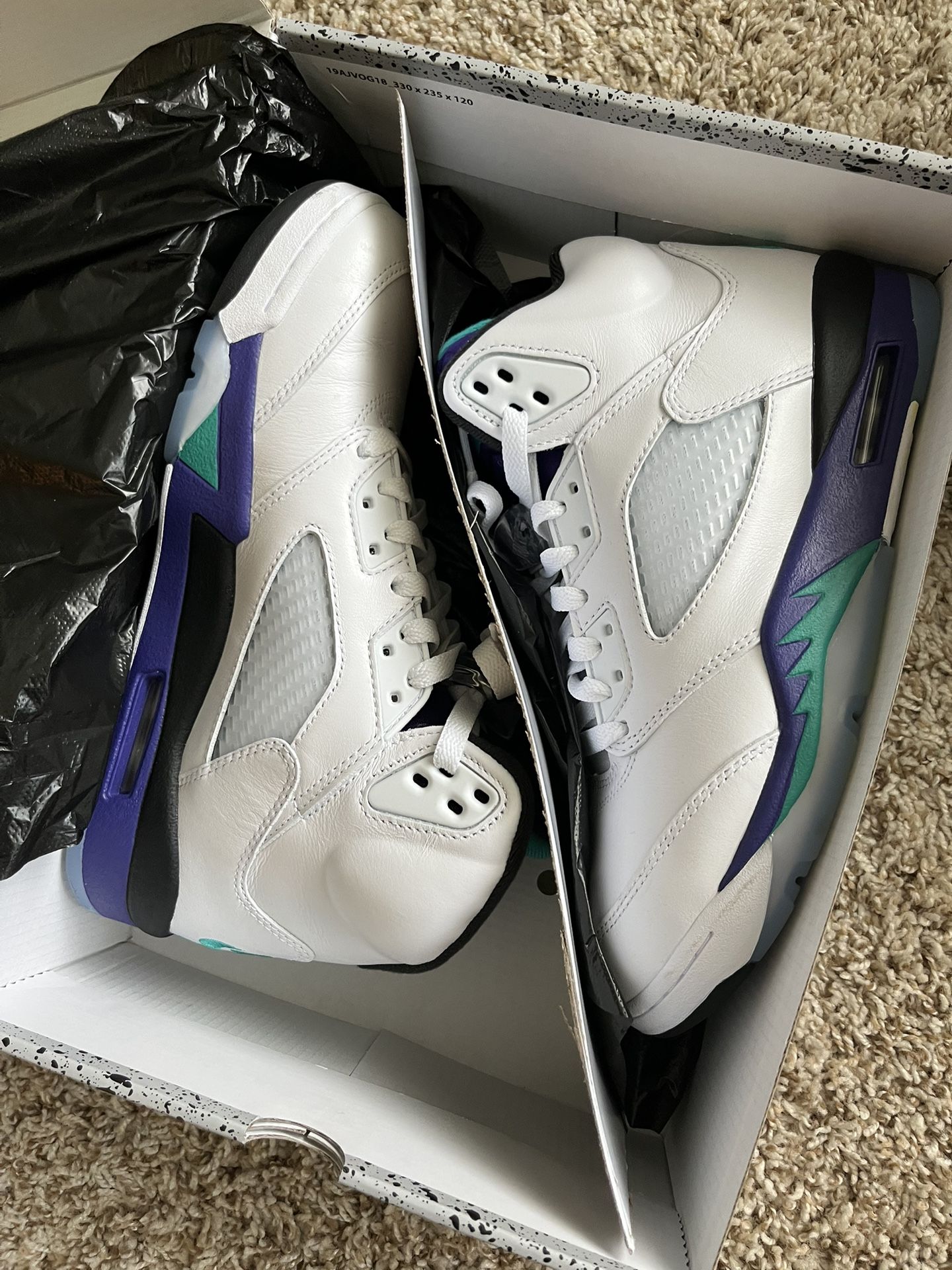 Retro Jordan Grape 5