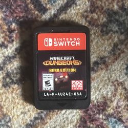 Minecraft dungeons Nintendo switch