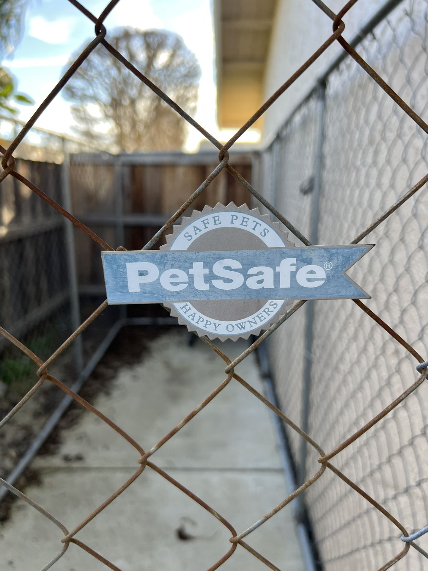 Dog kennel 