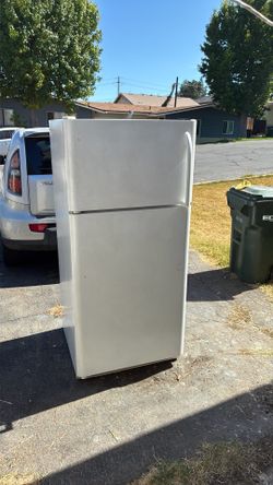 Fridge 30”x75”