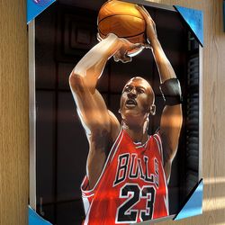 Michael Jordan Framed Bulls Basketball  1.75x16.5x20.5