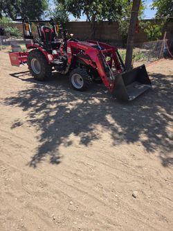 Grading/ Brush Clearance $250