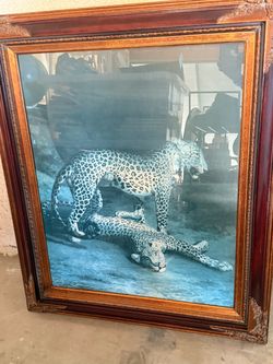 Vintage Framed Leopard Family Wildlife Artwork – Large Ornate Wood & Gold Frame
