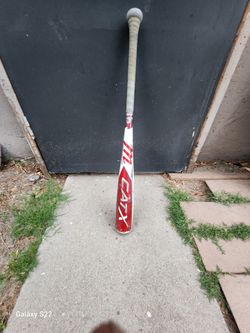 Cat x baseball bat