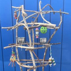 Funky n Crazzzie Small Bird Perch Tree / Lots Of Small Bird parrot Fun n Socialization!! ❤️