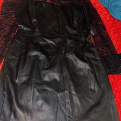 Zara Leather Dress