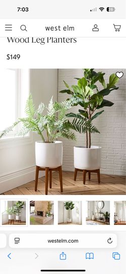 West Elm Mid-Century Turned Wood Leg Planter