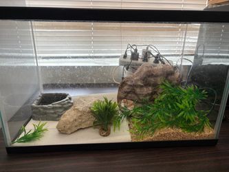 Reptile enclosure