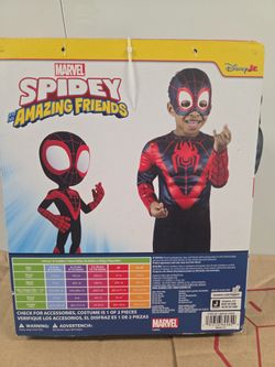 Spin Spidey costume