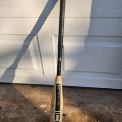 Icon '25 Youth Baseball Bat Size 29 Drop -12